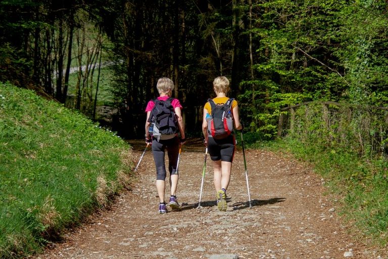 Istotna rola kijków trekkingowych